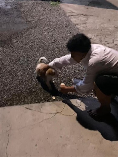 Baby Kovu eat ice cream 🥹😭💗 | Anastashia Hea