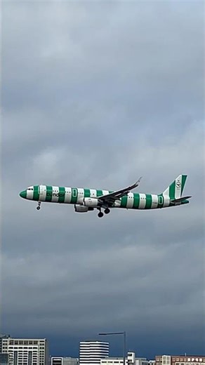 Airbus A321 (Condor) landing #planespotting #airbus #condor #a321 #shrots #aviation #321 #frankfurt
