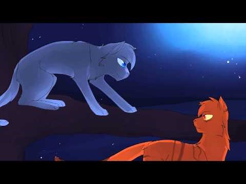 [Amv]Bluefur and Oakheart- Only if for a night