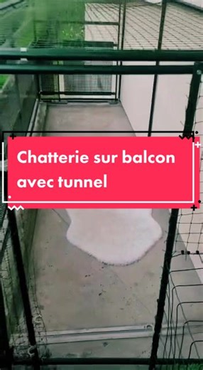 Quand on réserve une partie de son balcon pour ses chats 😻 À hauteur de rambarde pour la discrétion, avec filets coulissants pour y accéder, et surtout, avec un TUNNEL SUR MESURE ✨ pour que les petits matous puissent aller et venir à leur guise ! 😻 Si vous aussi vous souhaitez sécuriser l’habitat de votre chat (fenêtre, balcon, terrasse, jardin, enclos, etc), n’hésitez pas à nous contacter par téléphone/sms au 0680120376 ou par mail à contact@ppchats.fr en nous envoyant quelques photos, les me
