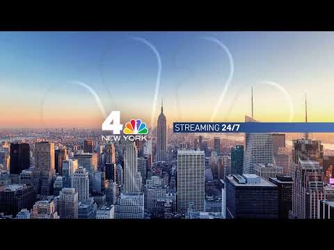 WATCH LIVE: ‘No Kings’ protests across NYC and nationwide| NBC New York