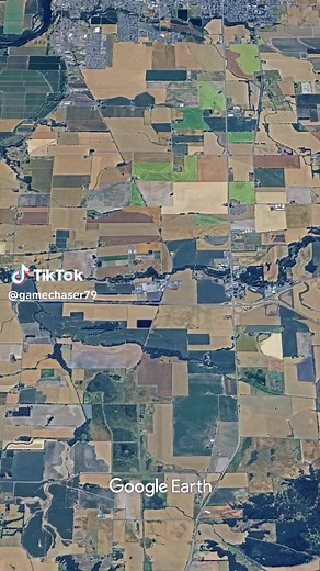 Oregons dairy’s #oregon #dairyfarm | Jesse Bounds