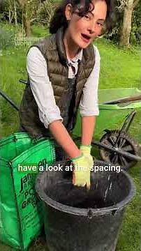 How to grow POTATOES in CONTAINERS