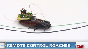 Remote control roaches