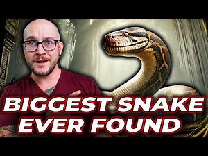 We Found a Snake BIGGER Than Titanoboa!