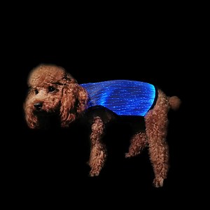 [Hot Item] Luminous Pet Clothes Fiber Optic Pet Clothes LED Dog Vest Cat Clothes
