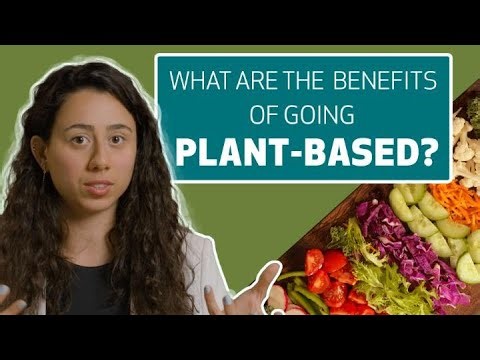 Why Should We Eat Less Meat?