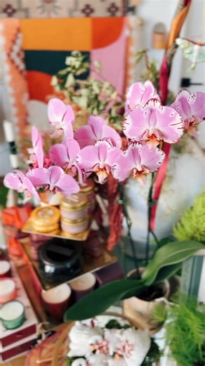 Just popping in to say thanks for being here and supporting the space I love so much 🌞🏺❄️🕯️🌲✨ | Commune