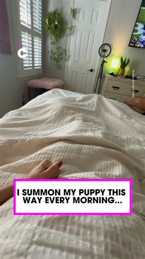 That's a cutie to wakke up to 🥹 | Common Entertainment