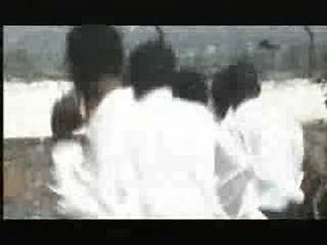 Reddy Amisi - Compteur A Zero