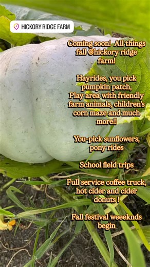 Coming soon!! Fall festival begins September 20th!! | Hickory Ridge Farm