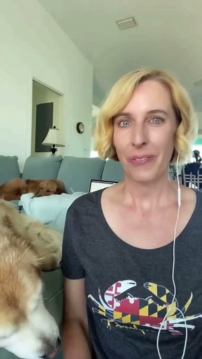 Exploring Benford's Law: Statistics and Beyond