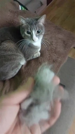 Konkord (@konkord_music)’s videos with Когда ты один - Конкорд