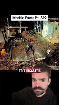 The most dangerous object humans have EVER created #morbidfacts