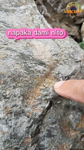 napaka dami nito mga boss | Vince tv