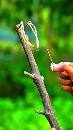 Creative Bamboo Craft Ideas to Explore