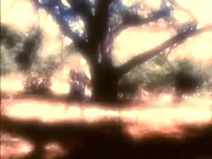 Pythons 2 DVD Trailer