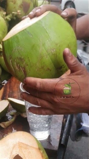 Extreme Coconut Cutting Techniques!