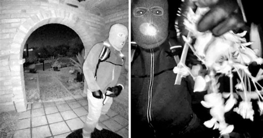 Investigators ask for surveillance video from specific dates in Nancy Guthrie disappearance