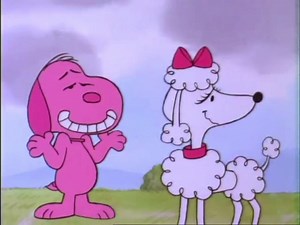 Snoopy and Fifi: A Heartwarming Tale | Watch Now!