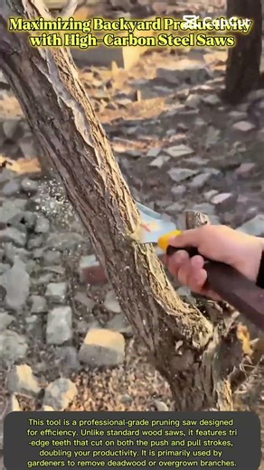 Maintaining Tree Health Through Precise and Clean Cutting Techniques