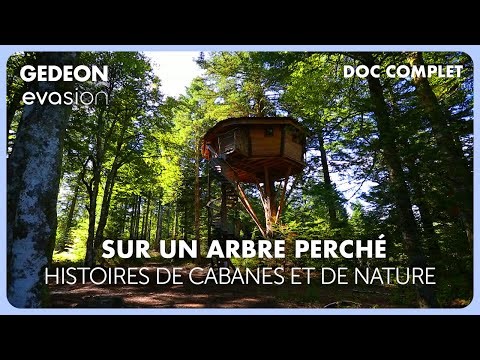 Treehouses: Dream Architecture in the Heart of Nature | Documentary