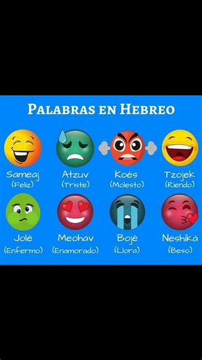 6.5K views · 186 reactions | Hoy aprenderemos palabras nuevas en hebreo | HEBREObiblico | Facebook