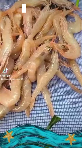 Video di La stella del mare (@lastelladelmare_25) con audio originale - La stella del mare
