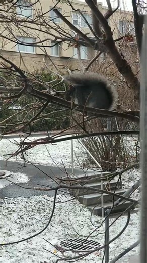 ❤️When you just found out YOUR GF is PREGNANT😂