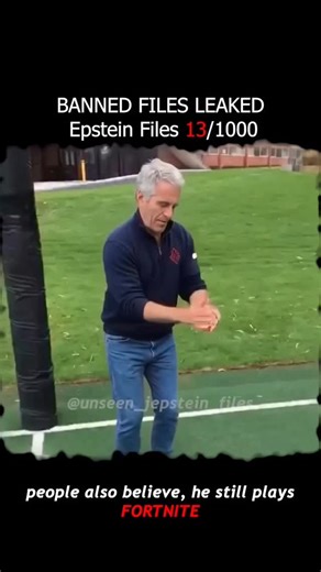 THE DARK FILE😨 on Instagram: "FILE 13/1000: THE LEDGER OF COMPLICITY Behind every "untouchable" network is a paper trail that everyone was paid to ignore. File 13 tracks the flow of capital-the offshore accounts, the shell companies, and the wire transfers that fueled a decade of exploitation. This wasn't just a failure of morals; it was a masterpiece of financial engineering designed to hide in plain sight. Money talks, but these receipts scream. #epsteinisland #epsteinfiles #jeffreyepstein #v