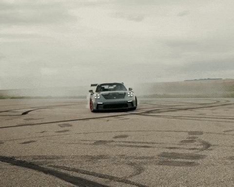 Need an artist that will draw my oc with a car.. vgen artists only please :) with examples! The car would be a Porsche 911 gt3 And by "with the car" I mean.. standing outside of it like a model or something idk. And I kinda want the car to be realistic :P