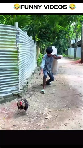 Introducing the chicken thief 😂 #funny #funnyvideo #prank #viralvideo #foryoupage