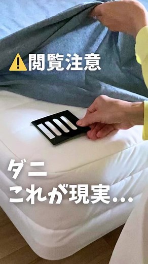 簡単ダニ対策！我が家の花粉症対策法