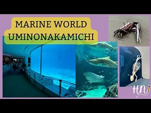 Marine World Uminonakamichi - FULL TOUR 2025
