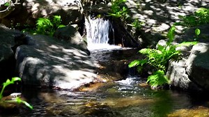 Water, Waterfall, Stream. Free Stock Video