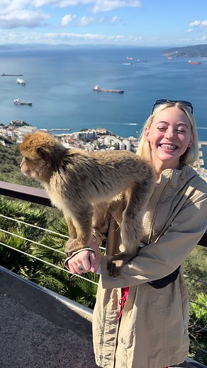 Neve's Wisdom: Monkeying Around in Gibraltar