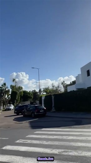 CORVETTE C7 Z06 vs 458 italia Acceleration Sounds!