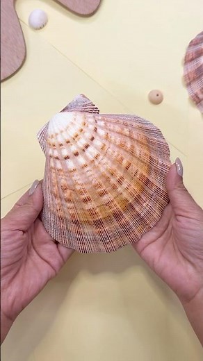 I Painted on a Shell 😍 #ShivangiSah #DIY #Craft