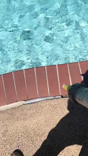 DIY Pool Coping: Expert Tips & Tricks