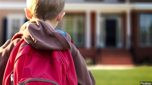 West Virginia governor vetoes CPS, foster care bills