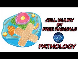 Cell Injury by Free Radicals | Production of Free Radicals | General Pathology | AI Medical School