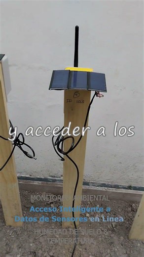 How to monitor soil moisture and temperature in the field and access the data online?