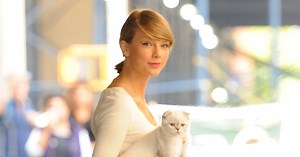 12 celebrities who love cats, from Jennifer Lopez to Taylor Swift | The National
