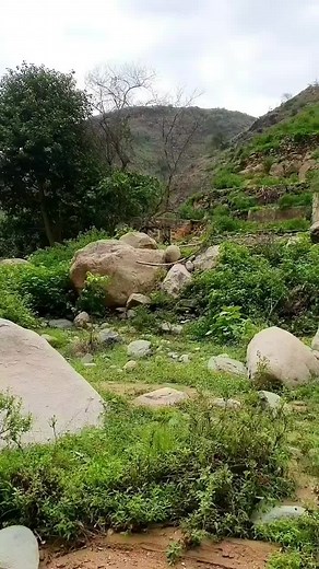Exploring Rocky Terrain and Flowing Streams in Nature