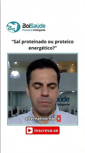 Sal proteinado ou proteico energético: qual usar?