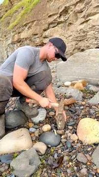 We hunted for Fossils and Iron Pyrite on a remote beach! We were lucky enough to find some specimens