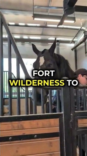 Outdoorsy fun for Everyone at Fort Wilderness Resort