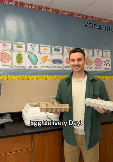 Exciting Chicken Egg Delivery Day for Science Class