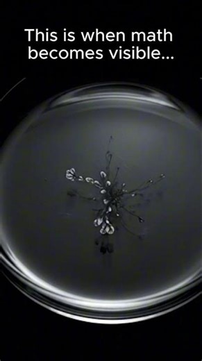 This Pattern Was Never Designed😳👇 Explanation below #shorts #chemistry #physics #experiment