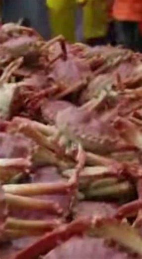 Ocean Predator – Massive King Crab Swarm Engulfs the Deck